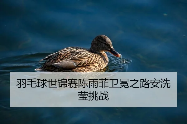 yu-mao-qiu-shi-jin-sai-chen-yu-fei-wei-mian-zhi-lu-an-xi-ying-tiao-zhan-2-367.jpg