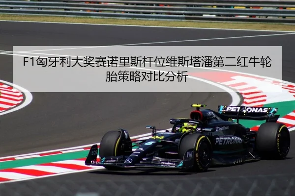 F1匈牙利大奖赛诺里斯杆位维斯塔潘第二红牛轮胎策略对比分析